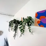 Le Cocon Perche Center Κολιούρ